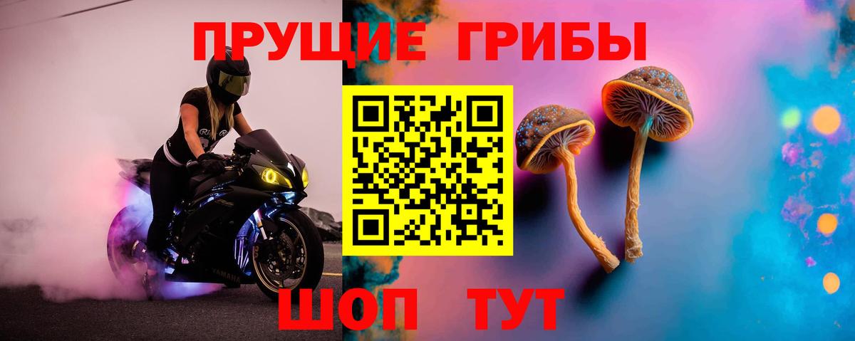 Галлюциногенные грибы Psilocybe  Галлюциногенные грибы Magic Shrooms  Карталы  Вход с VPN 